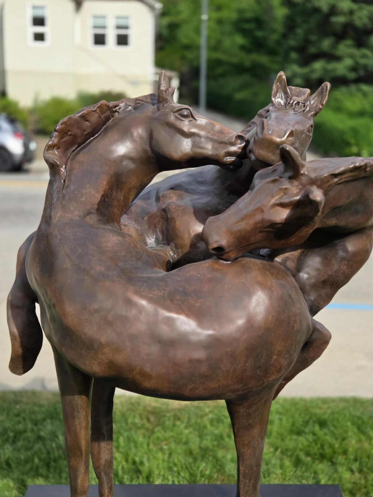 Public Art One Pulse, in Castlegar