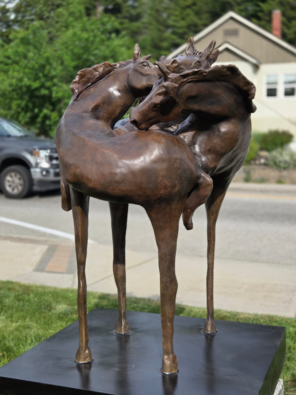 Public Art One Pulse, in Castlegar